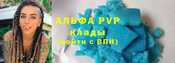 дживик Белокуриха