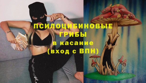 амф Белоозёрский