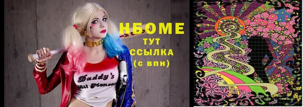 мдпв Бородино