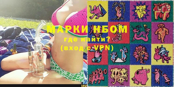 мдпв Бородино