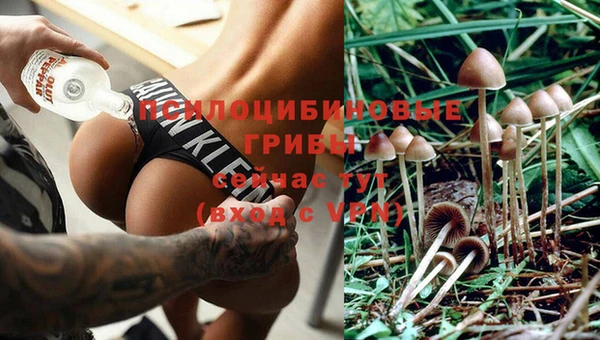 спиды Бугульма