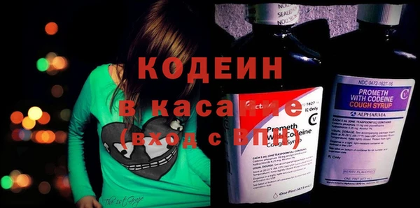 мдпв Бородино